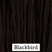 Blackbird CCW