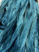 Cerulean 0294