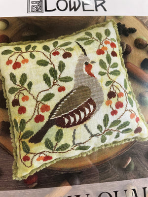 Autumn Quail