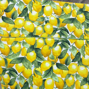 Lemons Project Bag
