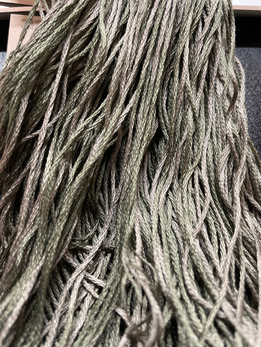 Olive Branch- 1258