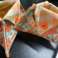 Pumpkin Pie ORT catcher