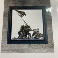Mini Raising the Flag