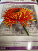 Orange Dahlia No-Count Cross Stitch Kit