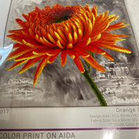 Orange Dahlia No-Count Cross Stitch Kit