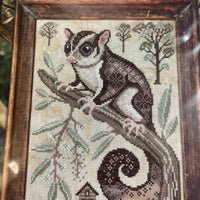 A Year in the Woods II: The Sugar Glider