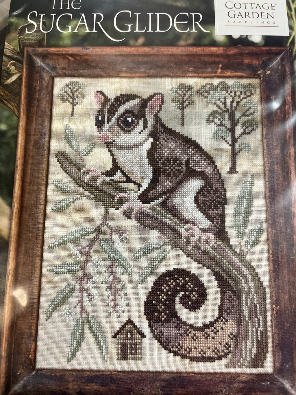 A Year in the Woods II: The Sugar Glider
