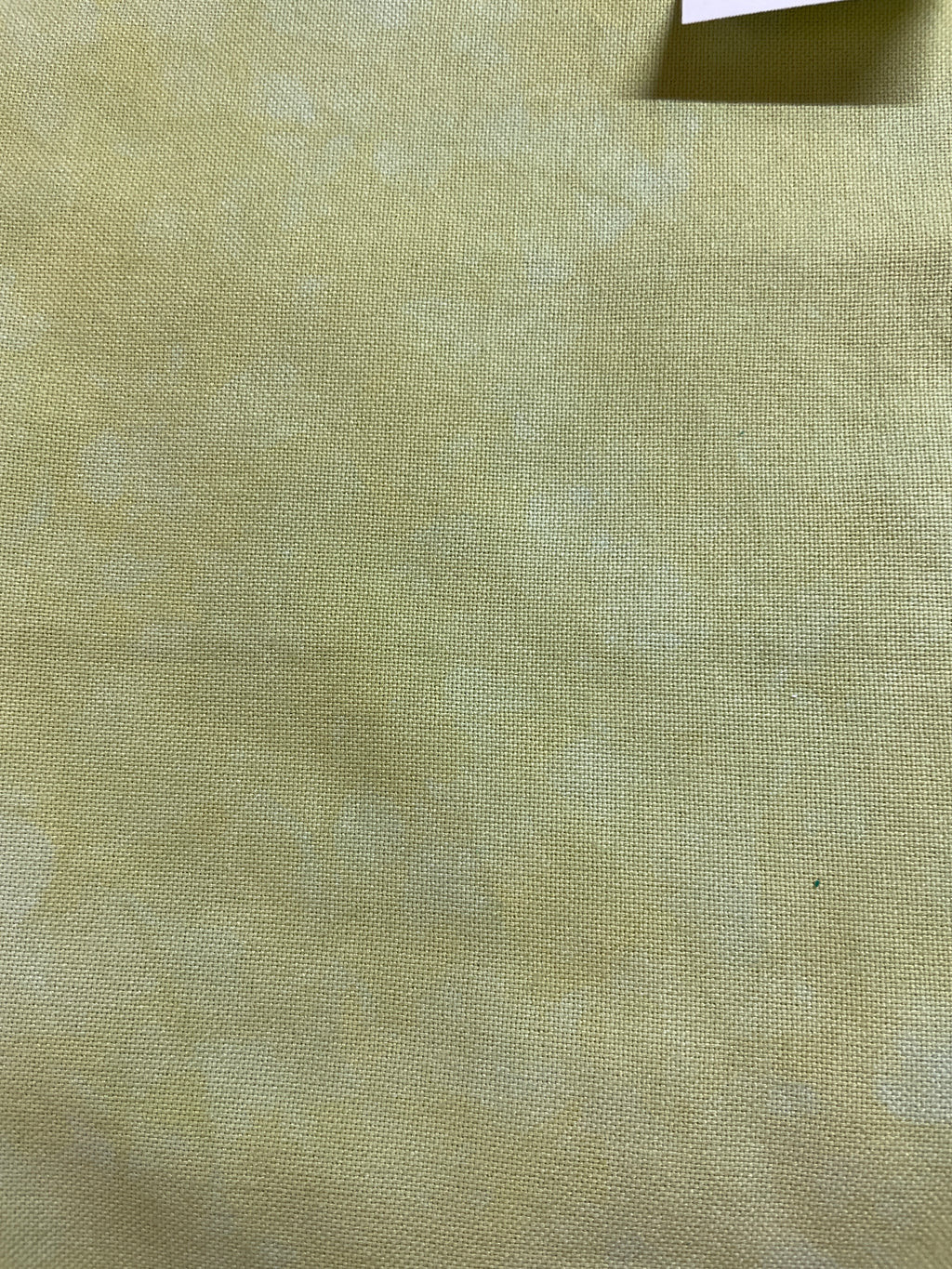 32 Count Pistachio Lugana