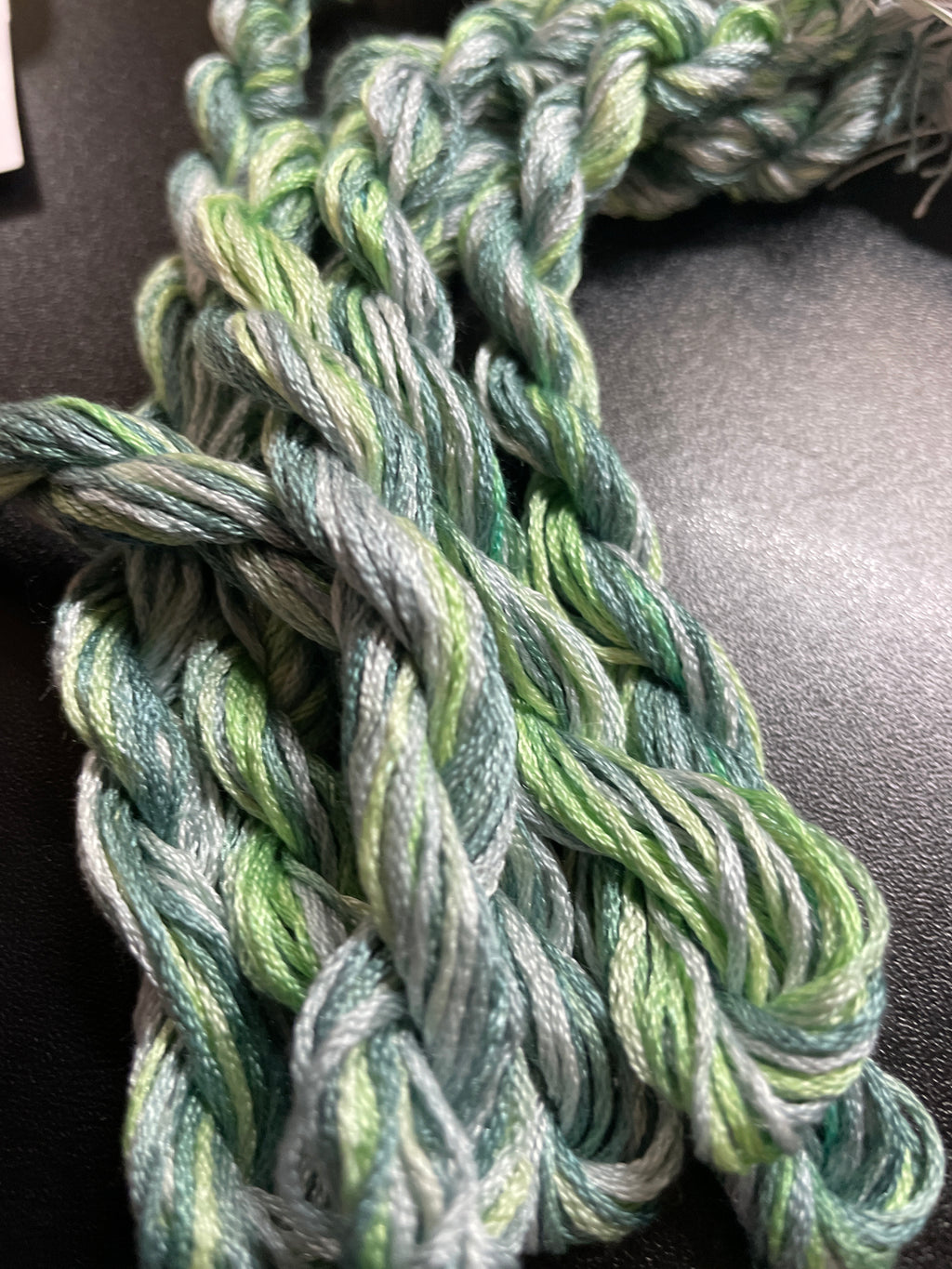 019 Rainforest
