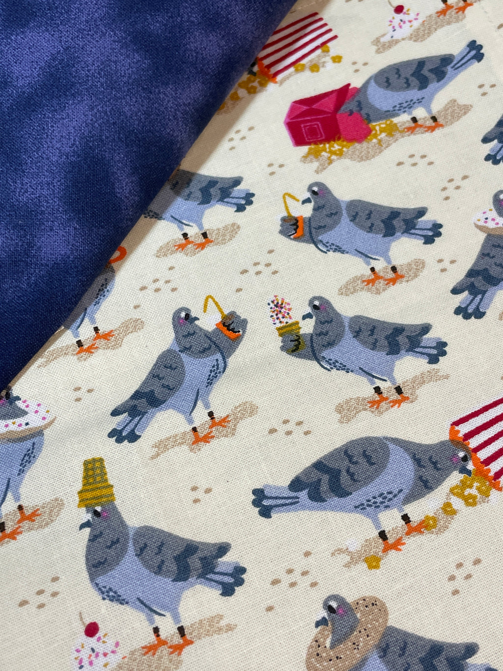 Beach Pigeon