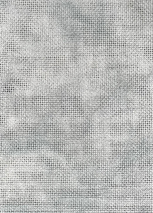 16 Count Brain Fog Aida