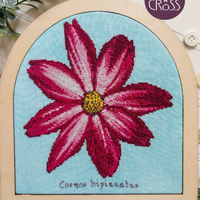Cosmo Bloom