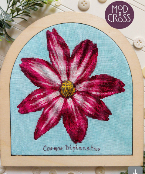 Cosmo Bloom