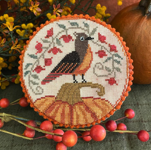 Bittersweet Bird