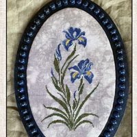 Blue iris