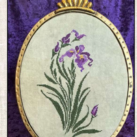 Purple Iris