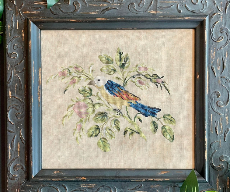 Bird of Bordeaux  a reproduction sampler