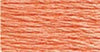 3341 Apricot