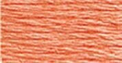 3341 Apricot