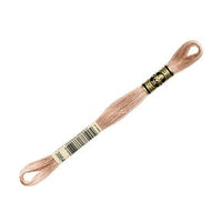 3864 Light Mocha Beige