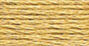 422	Hazelnut Brown - LT
