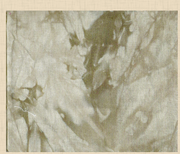 32 count Cypress Lugana