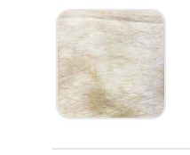 40 Count Dusty Road Linen