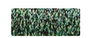 5982 Forest Green #8