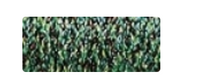 5982 Forest Green #8