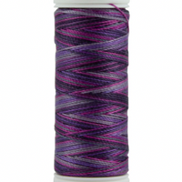 Grape Wine-4033