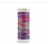 Wild Rose-4082