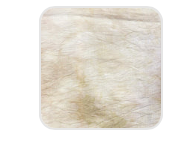 40 Count Dusty Road Linen