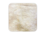 40 Count Dusty Road Linen