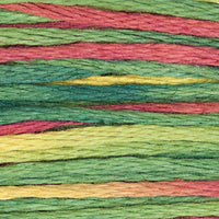 Noel (Blue Green Red Yellow) - 4105