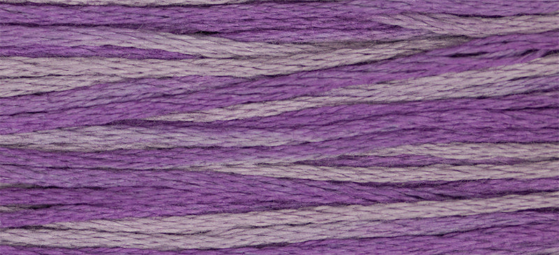 Iris - 2316