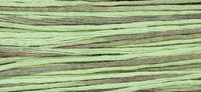 Cape Cod (Green Gray) - 1181