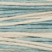 Hydrangea (White Blue) - 1161
