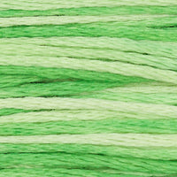 Granny Smith (Green) - 2191