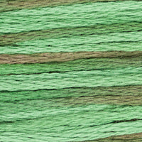 Foliage - 4135