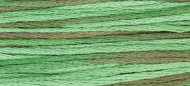 Foliage - 4135