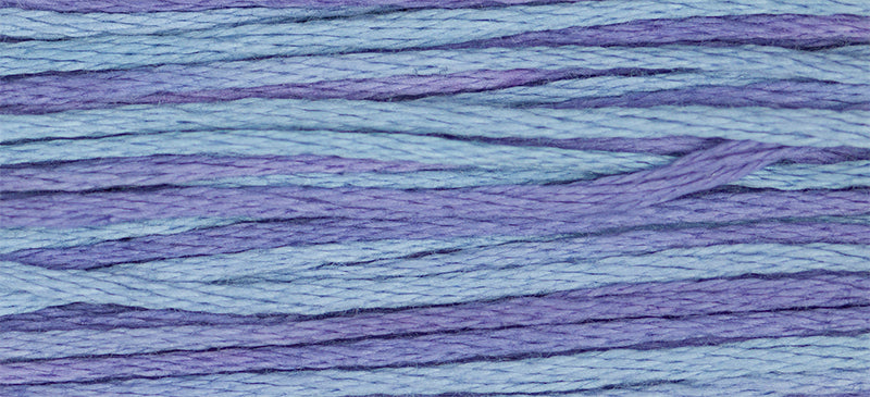 Dutch Iris (Blue Purple) - 2342