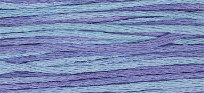 Dutch Iris (Blue Purple) - 2342