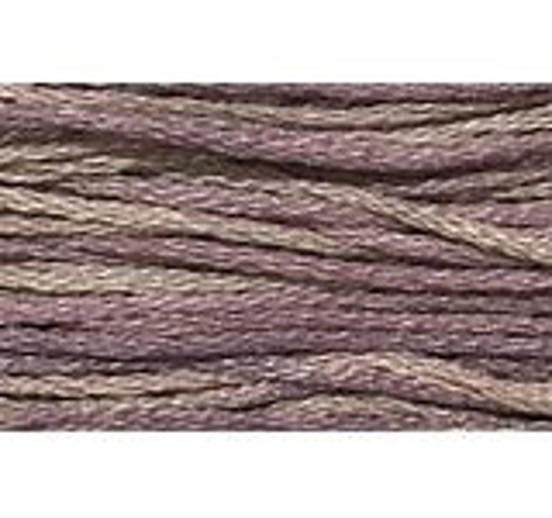 Oyster - 1147