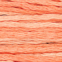 Cantaloupe (Pink) - 2243