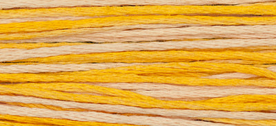 Mimosa (Yellow) - 2231