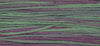 Beachcomber (Blue Purple) - 4149