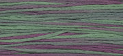 Beachcomber (Blue Purple) - 4149