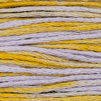 Clara (Purple Yellow) - 1146