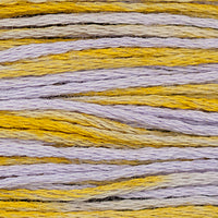 Clara (Purple Yellow) - 1146