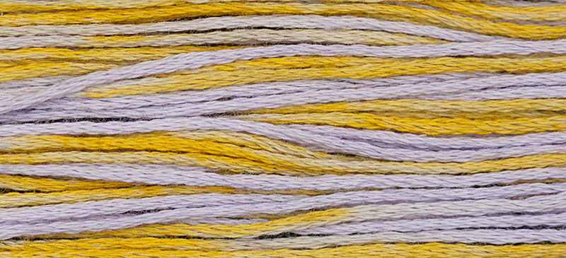 Clara (Purple Yellow) - 1146